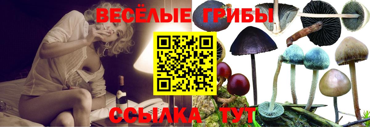 Псилоцибиновые грибы мицелий  Псилоцибиновые грибы мухоморы  Мирный  Вход с VPN 